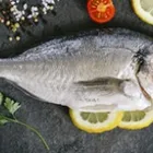 Image 3 podniku GLOBUS HYPERMARKET Obchodní dům v Chomutov US