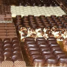 Image 22 podniku GOLD PRALINES S.R.O. Zemědělské služby v Praha PR