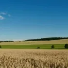 Image 5 podniku NOACK ČR, SPOL. S R.O. Zemědělské služby v Praha PR