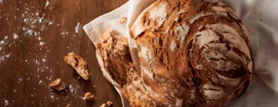 Image 2 podniku GLOBUS HYPERMARKET Obchodní dům v Chomutov US