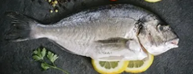 Image 3 podniku GLOBUS HYPERMARKET Obchodní dům v Chomutov US