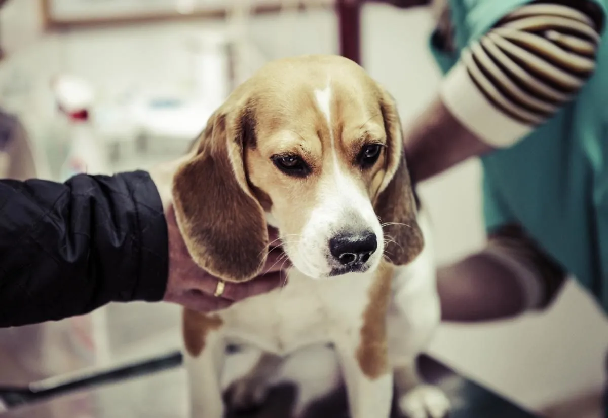 Image 2 podniku MVDR. MAREK HALOUNEK