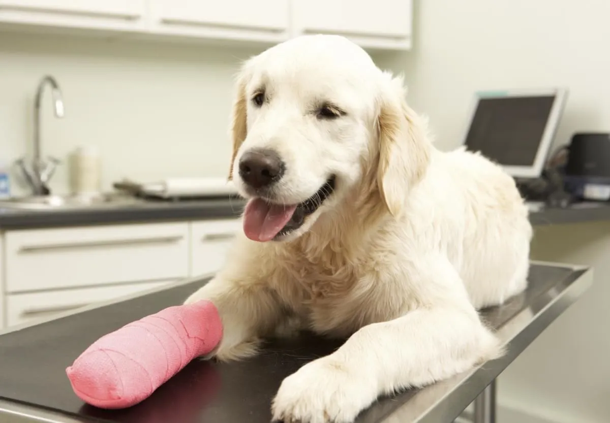 Image 1 podniku MVDR. MAREK HALOUNEK